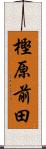 樫原前田 Scroll
