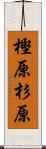 樫原杉原 Scroll