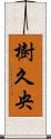 樹久央 Scroll