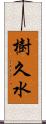 樹久水 Scroll