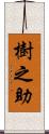 樹之助 Scroll