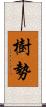 樹勢 Scroll