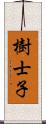 樹士子 Scroll