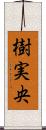 樹実央 Scroll