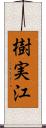 樹実江 Scroll