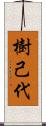 樹己代 Scroll