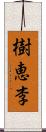 樹恵李 Scroll