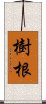 樹根 Scroll