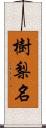 樹梨名 Scroll