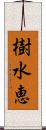 樹水恵 Scroll