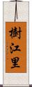 樹江里 Scroll