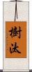 樹汰 Scroll