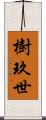 樹玖世 Scroll