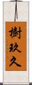 樹玖久 Scroll