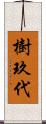 樹玖代 Scroll