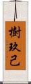 樹玖己 Scroll