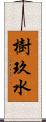 樹玖水 Scroll