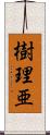 樹理亜 Scroll