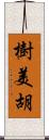 樹美胡 Scroll