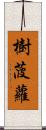 樹菠蘿 Scroll