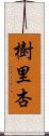 樹里杏 Scroll