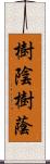 樹陰 Scroll