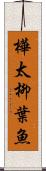 樺太柳葉魚 Scroll