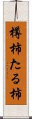 樽柿 Scroll