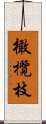 橄欖枝 Scroll