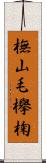 橅 Scroll