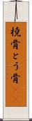 橈骨 Scroll