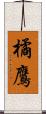 橘鷹 Scroll