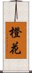 橙花 Scroll