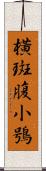 橫斑腹小鴞 Scroll