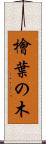 檜葉の木 Scroll