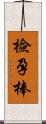 檢孕棒 Scroll