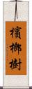 檳榔樹 Scroll