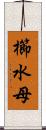 櫛水母 Scroll