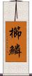 櫛鱗 Scroll