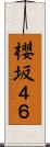 櫻坂４６ Scroll