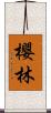 櫻林 Scroll
