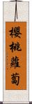 櫻桃蘿蔔 Scroll