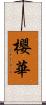 櫻華 Scroll