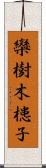 欒樹 Scroll