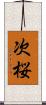 次桜 Scroll