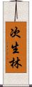 次生林 Scroll