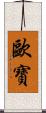 歐寶 Scroll