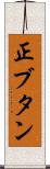 正ブタン Scroll