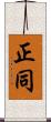 正同 Scroll