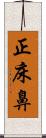 正床鼻 Scroll